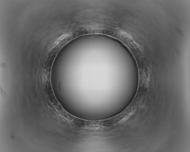 X0000090611157200708071157