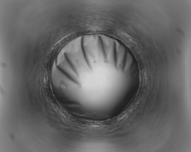 X0000090611158200708071157