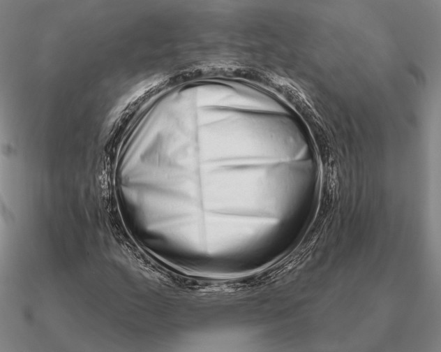 X0000090611159200708071157