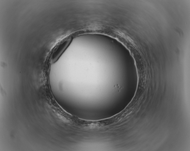 X0000090611160200708071157