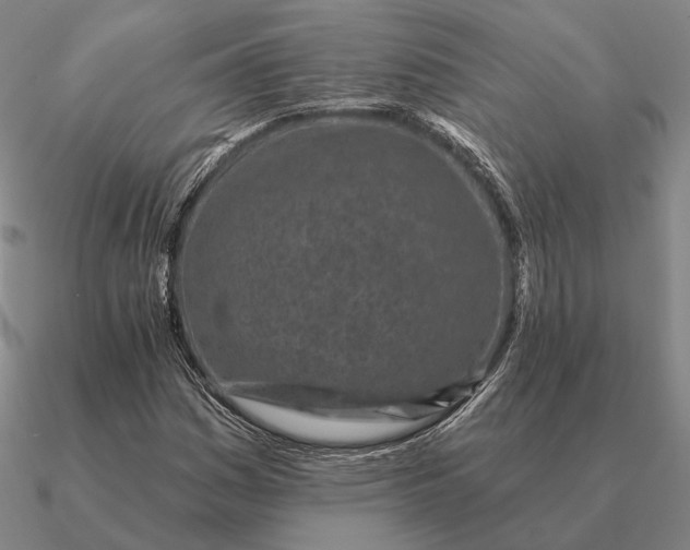 X0000090611161200708071157