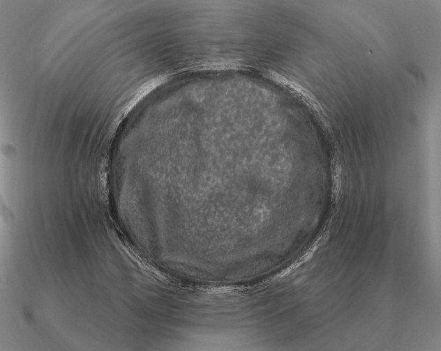 X0000090611162200708071157