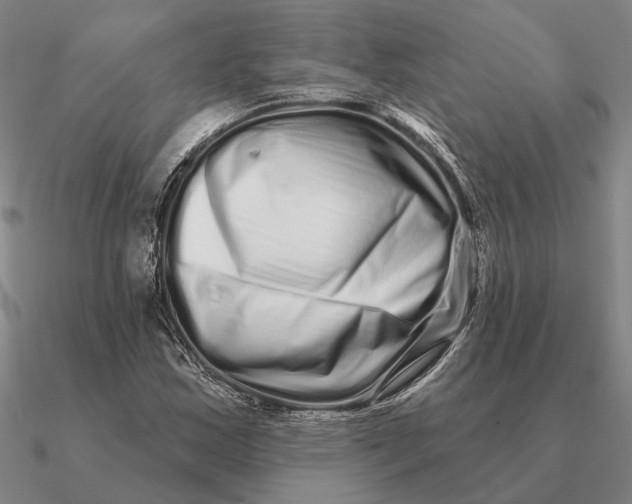 X0000090611163200708071157