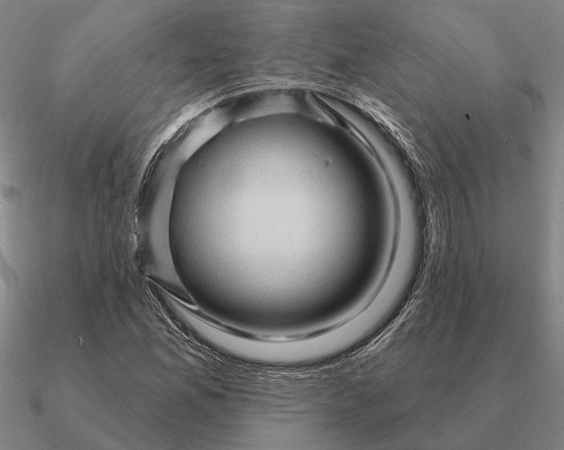 X0000090611165200708071157