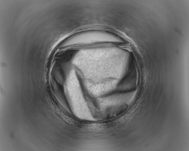 X0000090611166200708071157