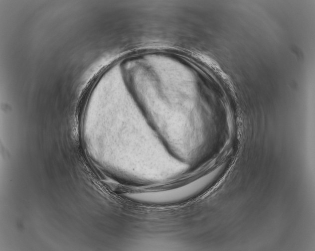 X0000090611167200708071157