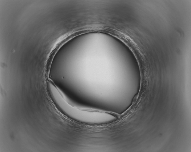 X0000090611168200708071157