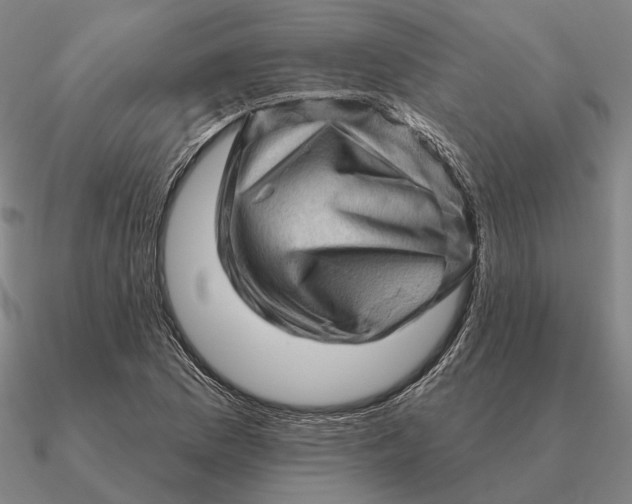 X0000090611169200708071157