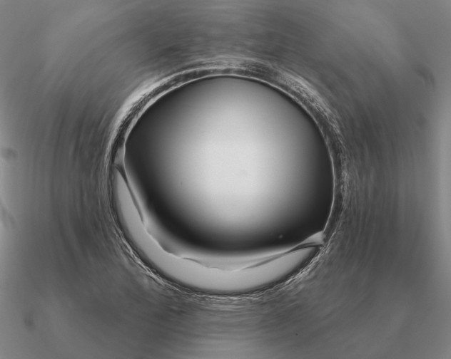 X0000090611172200708071157