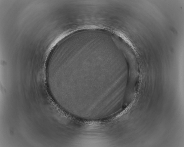 X0000090611173200708071157