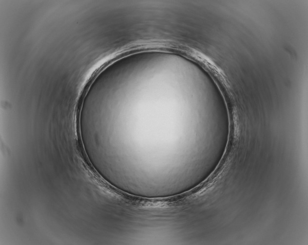 X0000090611174200708071157