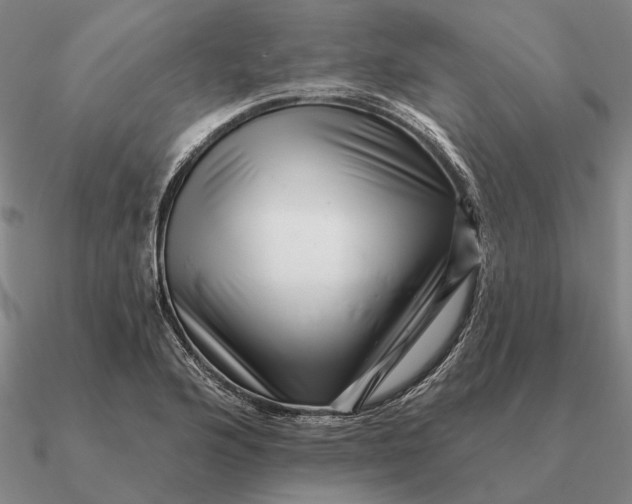 X0000090611176200708071157