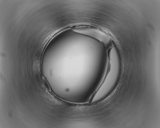 X0000090611177200708071157