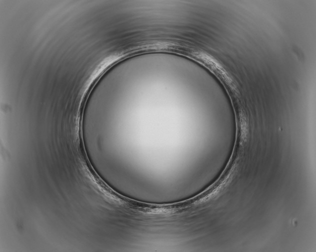 X0000090611178200708071157