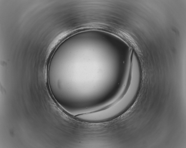 X0000090611180200708071157