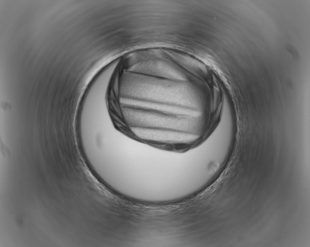 X0000090611181200708071157