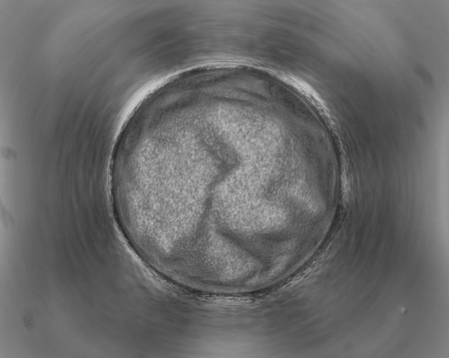 X0000090611183200708071157