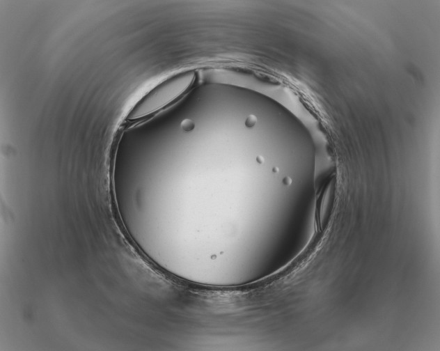 X0000090611184200708071157