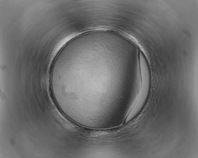 X0000090611187200708071157