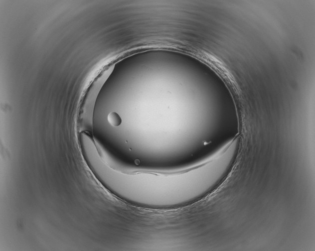 X0000090611188200708071157