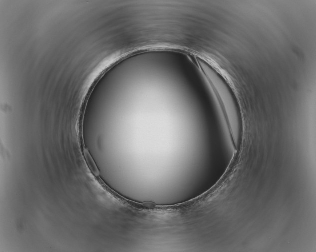 X0000090611189200708071157