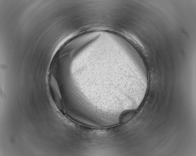 X0000090611190200708071157