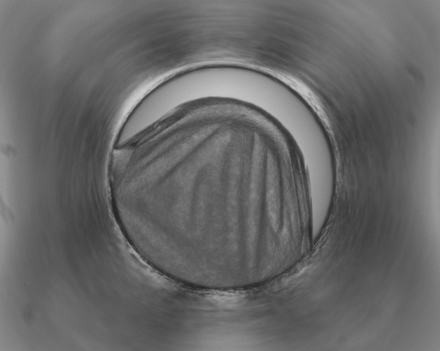 X0000090611191200708071157