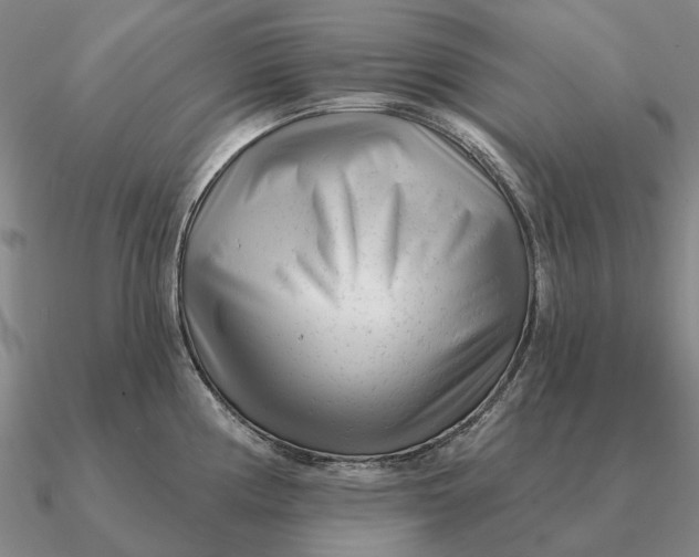 X0000090611194200708071157