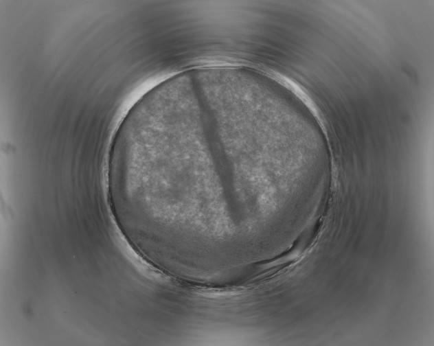 X0000090611195200708071157