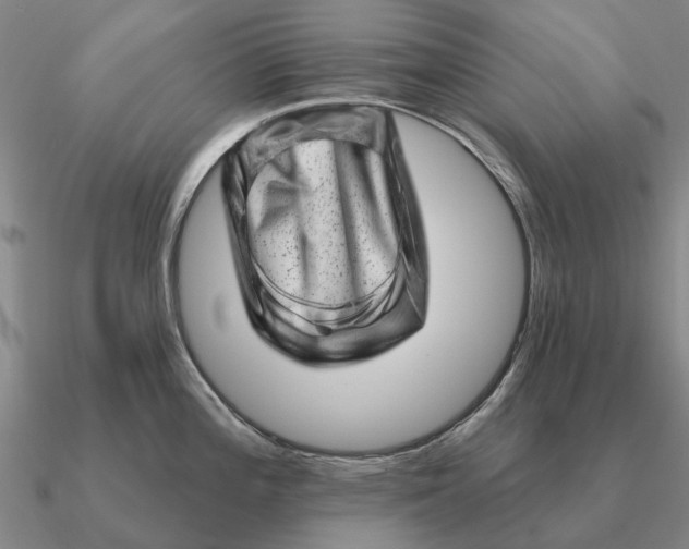 X0000090611196200708071157