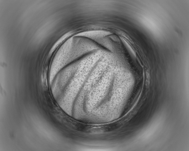 X0000090611198200708071157