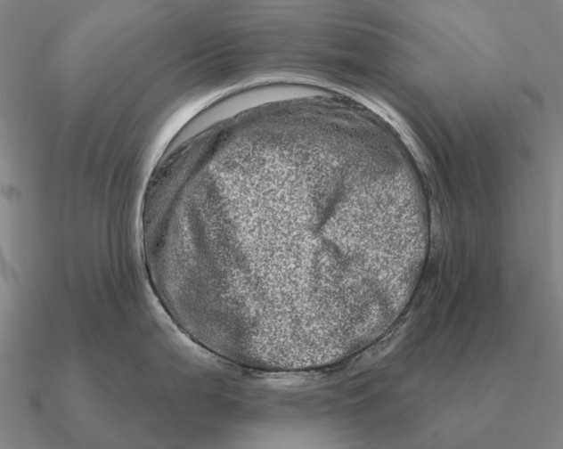 X0000090611199200708071157