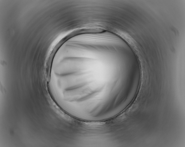 X0000090611200200708071157