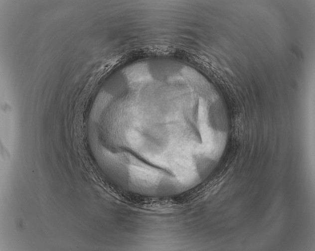 X0000090611201200708071156