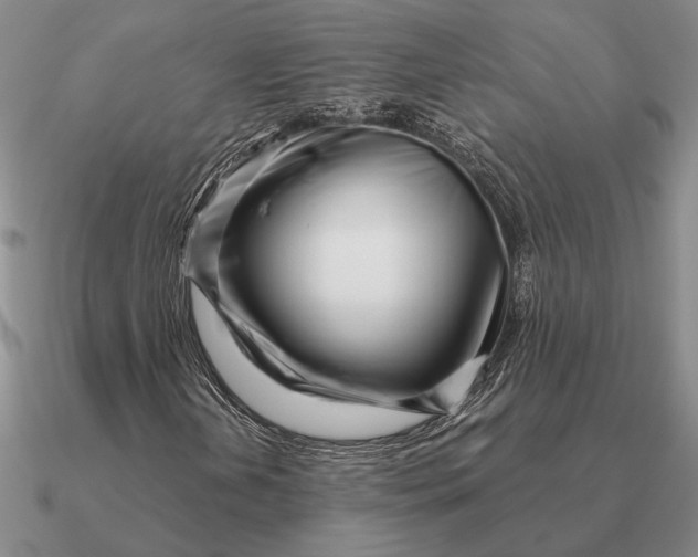 X0000090611202200708071156