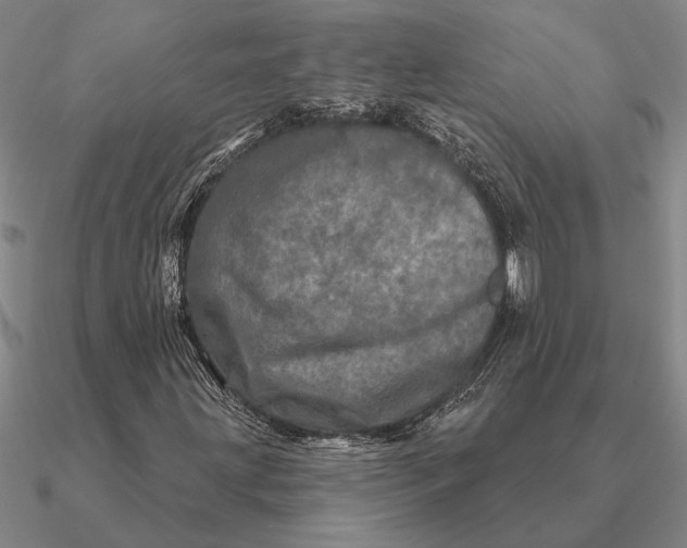 X0000090611203200708071156