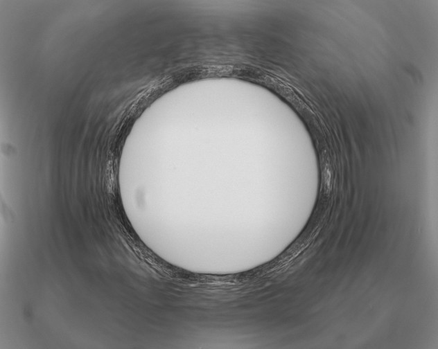 X0000090611204200708071156