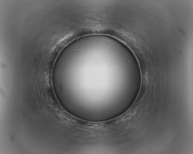 X0000090611205200708071156