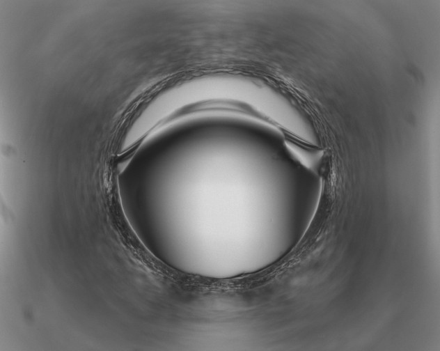 X0000090611206200708071156