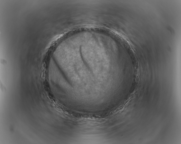 X0000090611207200708071156