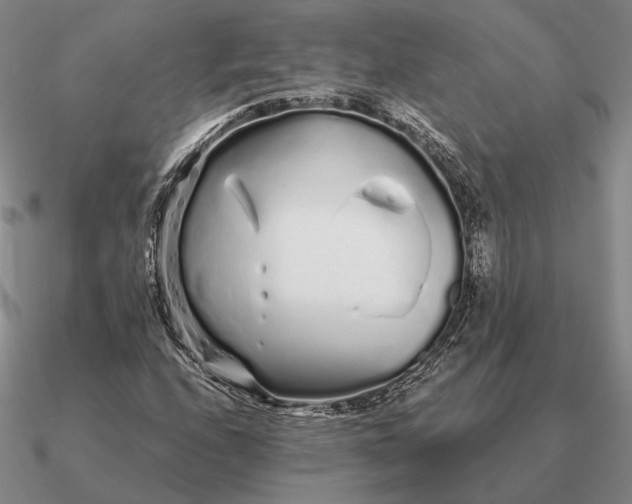 X0000090611208200708071156