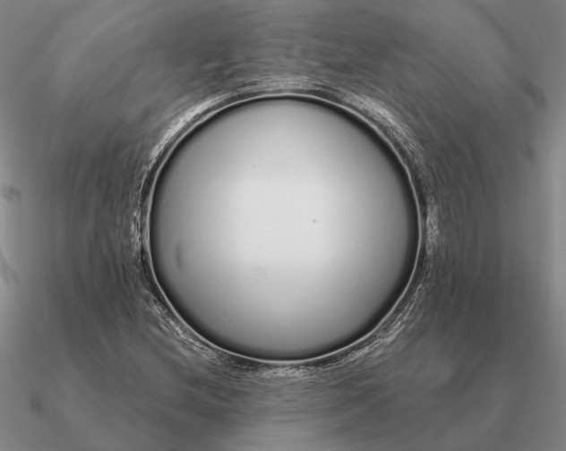 X0000090611212200708071156