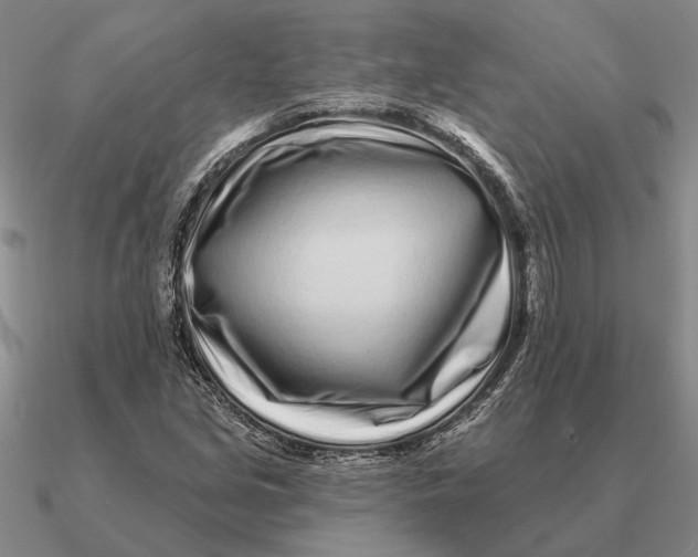 X0000090611213200708071156