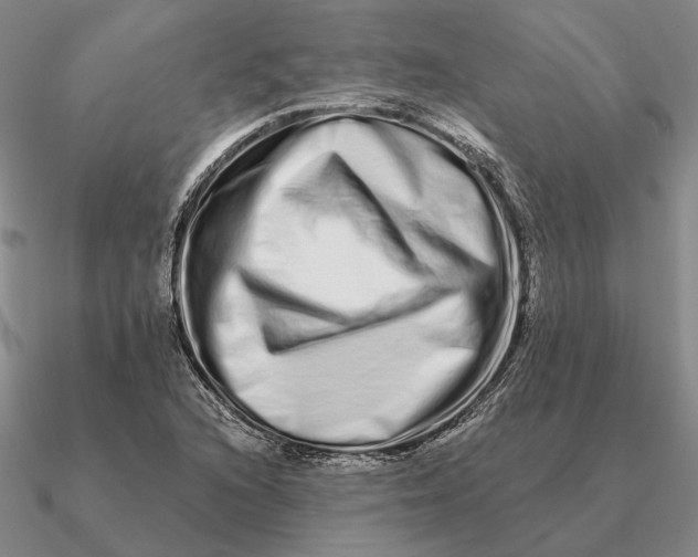 X0000090611216200708071156