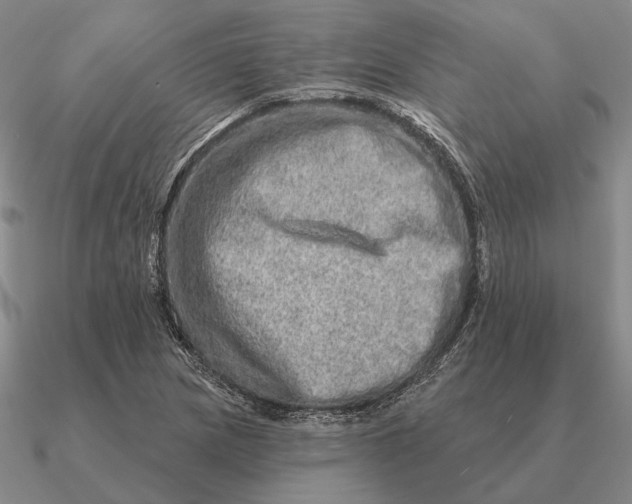 X0000090611217200708071156