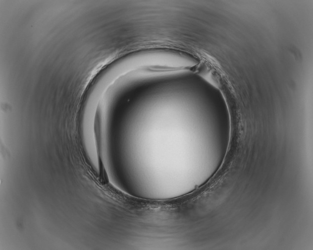 X0000090611218200708071156