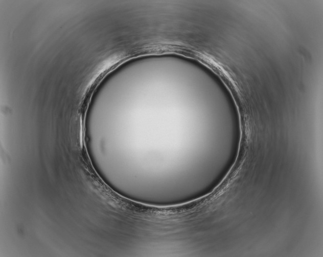 X0000090611219200708071156