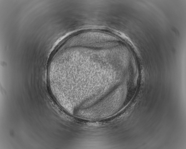 X0000090611220200708071156