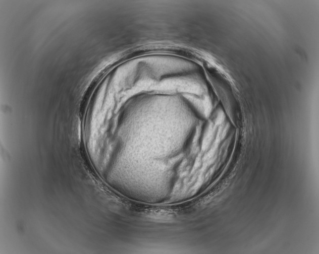 X0000090611221200708071156