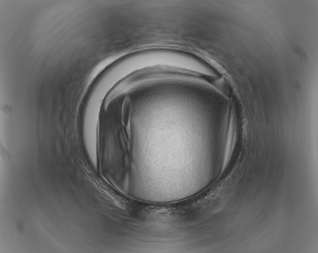 X0000090611222200708071156